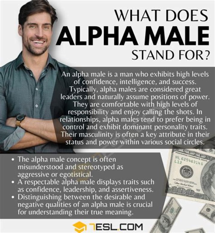 Do Alpha Males make good husbands?