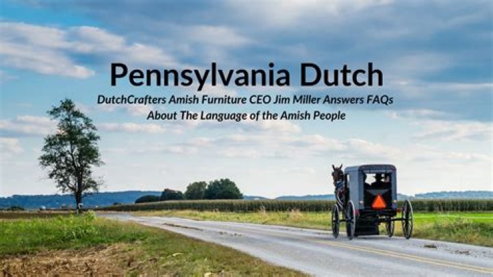 Do Amish ever attend college?