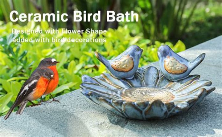 Do bird baths need to be off the ground?