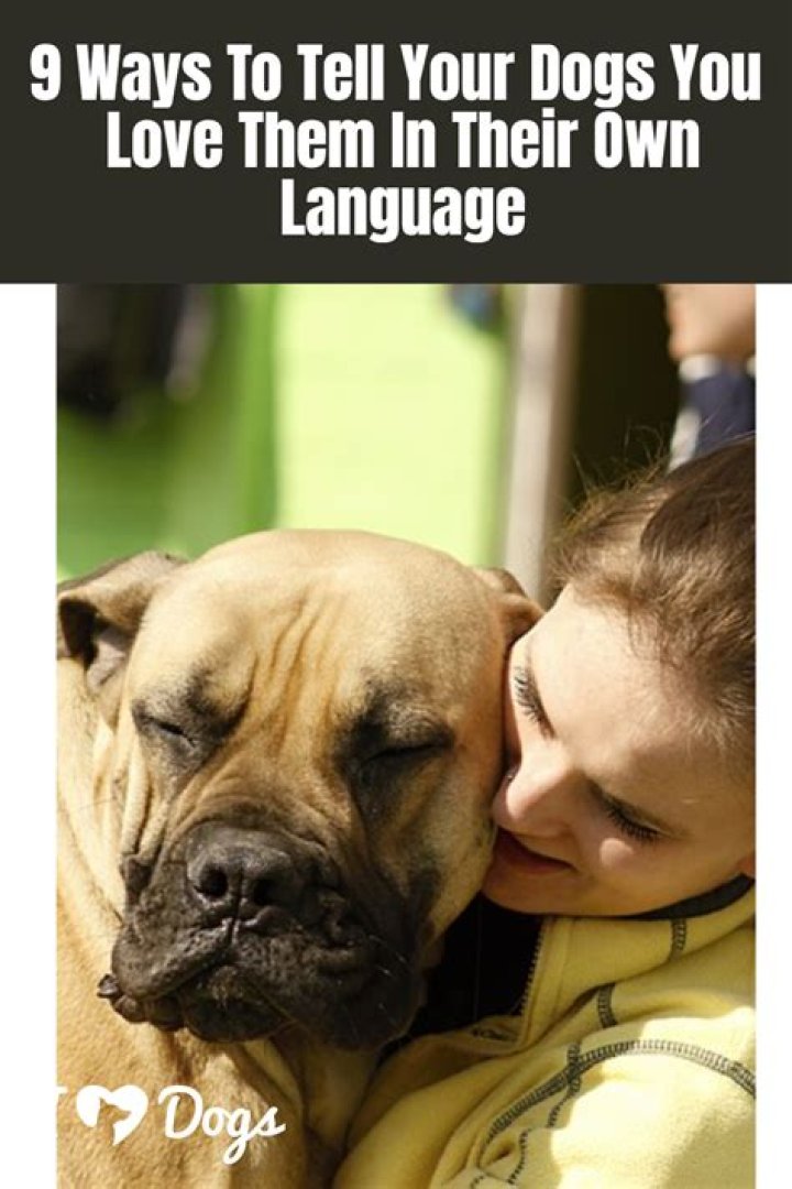 Do bugs have their own language?