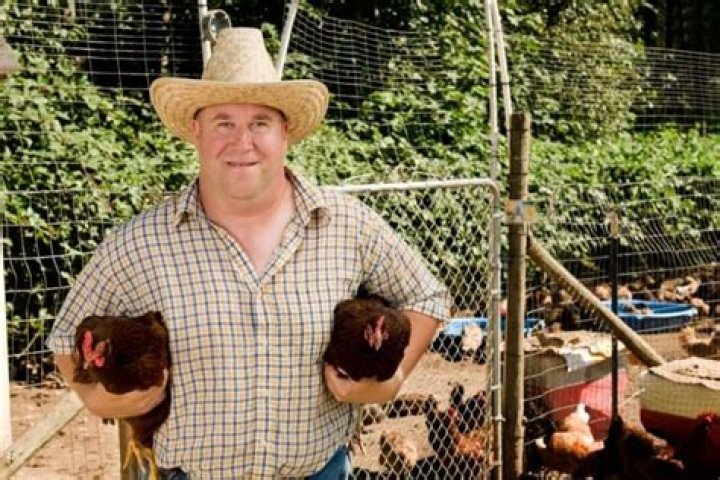 Do chickens love their owners?