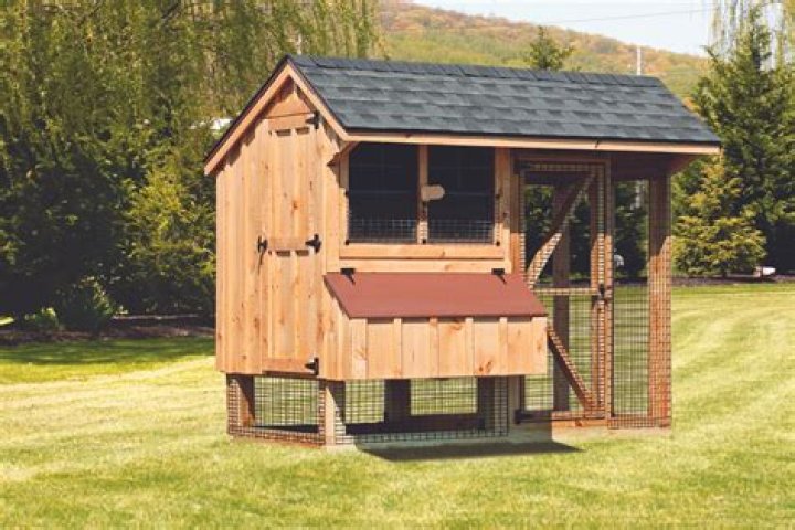 Do chickens need straw in their coop?