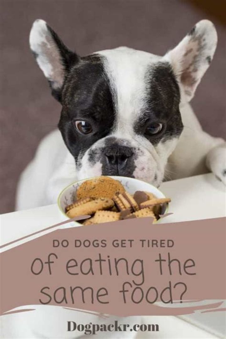 Do dogs get tired of eating the same food?
