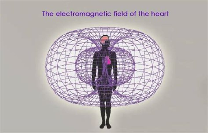Do humans have a electromagnetic field?