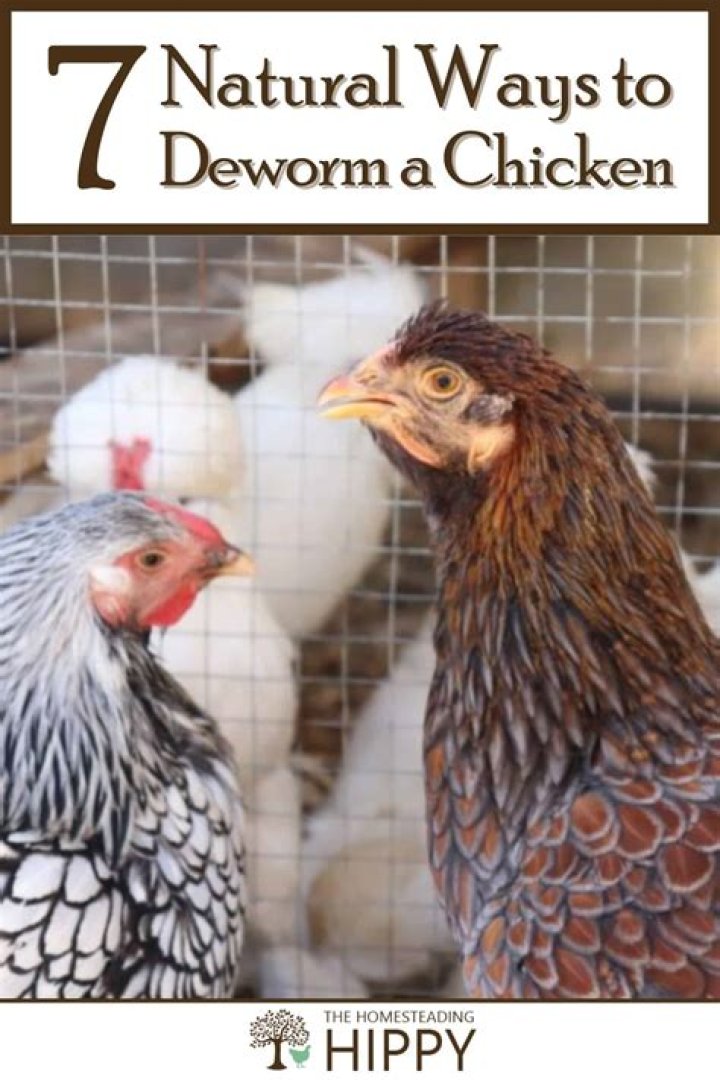 Do I need to deworm chickens?
