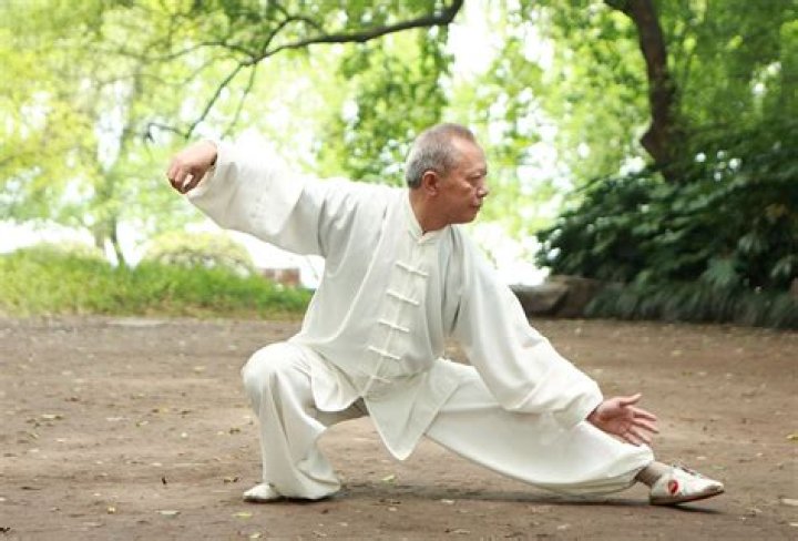 Do Japanese do tai chi?