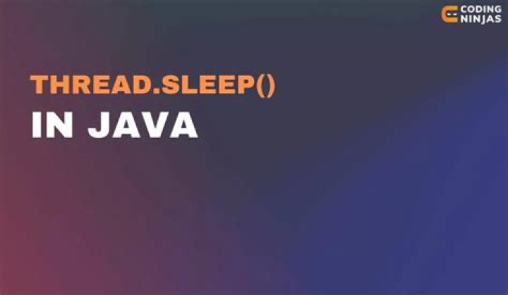 Do ninjas sleep?
