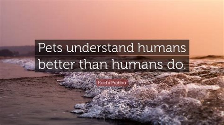 Do plants understand humans?