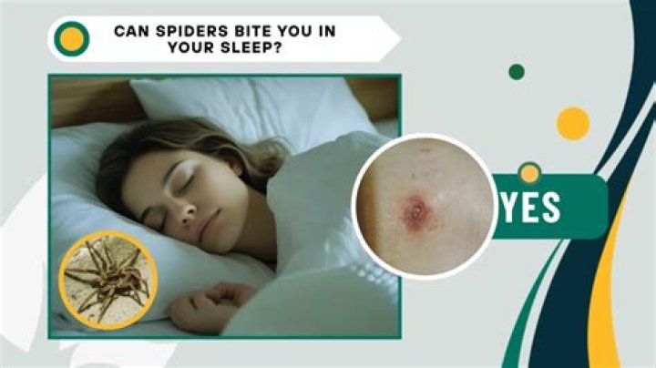 Do roaches bite you in your sleep?