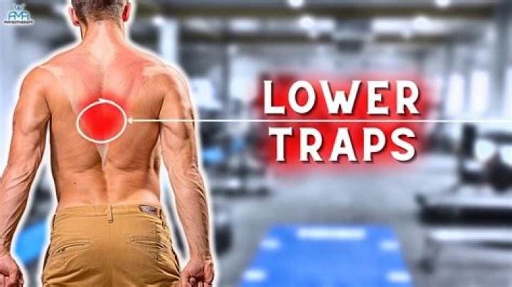 Do tar traps work?