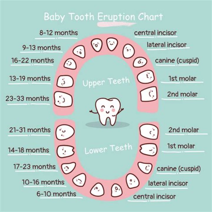 Do teething babies poop change?