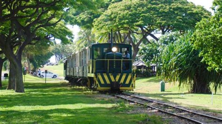 Do they have trains in Hawaii?