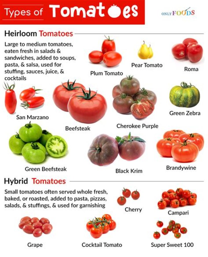 Do tomatoes come in different shapes?