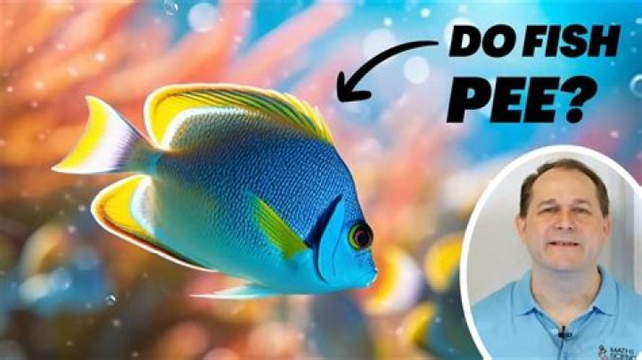 Do we drink fish pee?