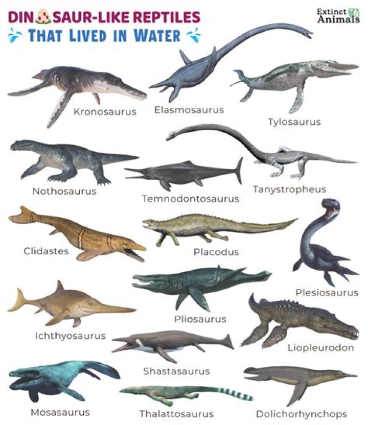 Do we drink same water as dinosaurs?