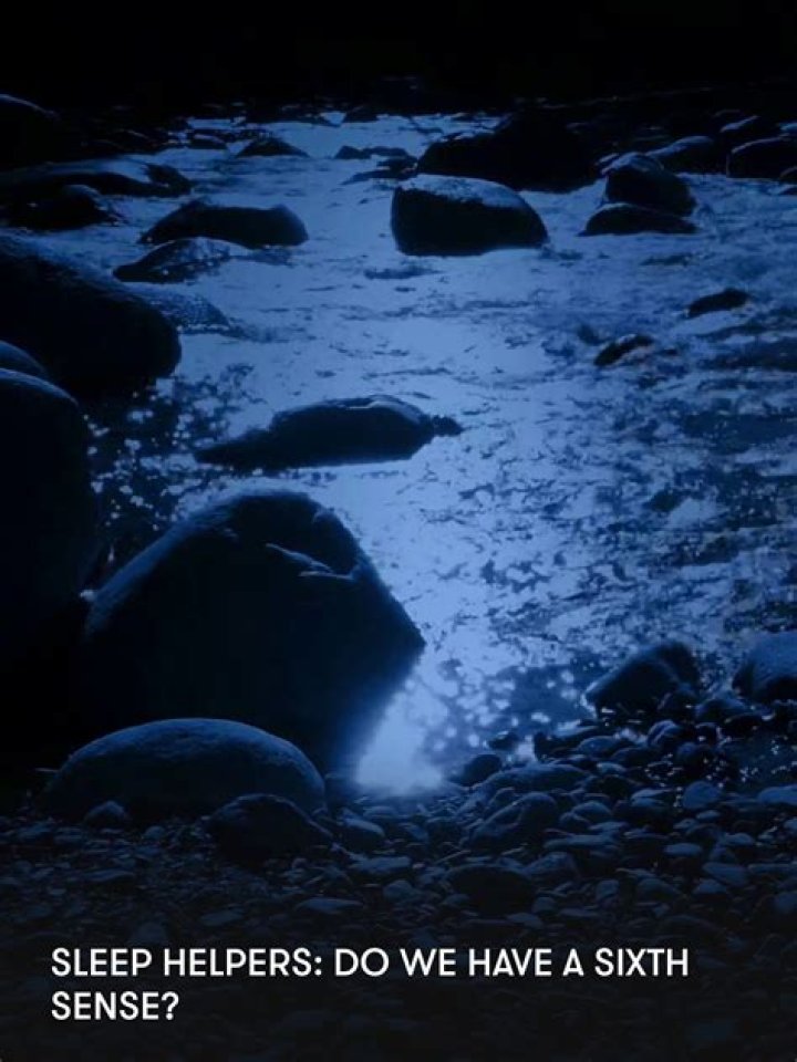 Do we have a sixth sense?