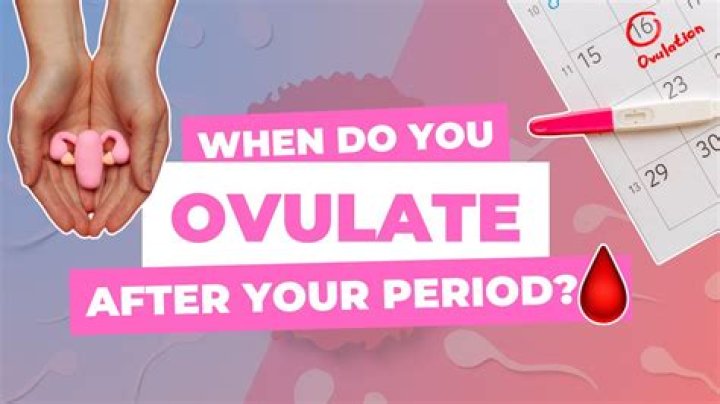 Do you still ovulate in your 40s?