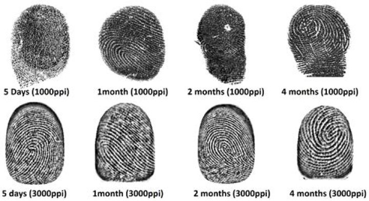 Do your fingerprints change from birth?