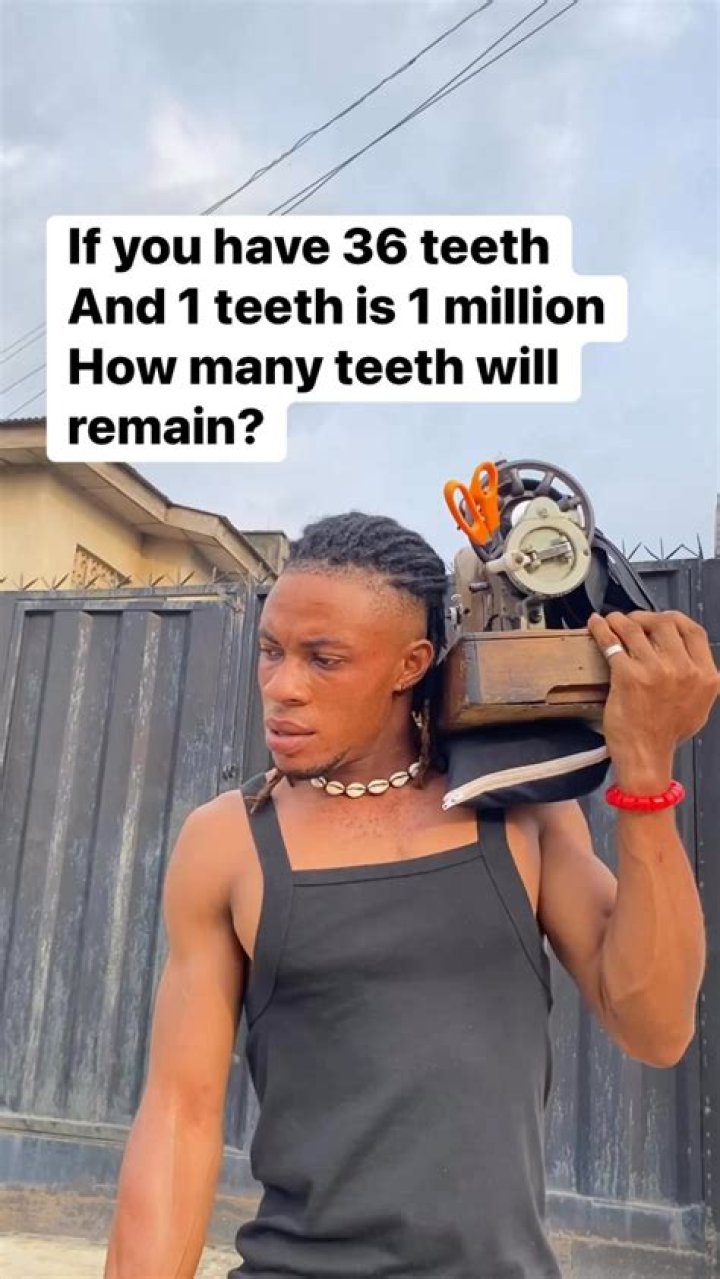 Does a bear have 36 teeth?