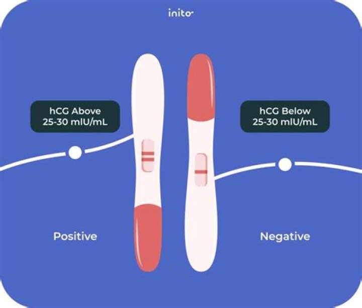 Does a darker line mean more hCG?