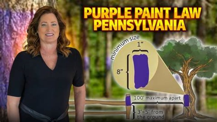 Does Alabama have a purple paint law?