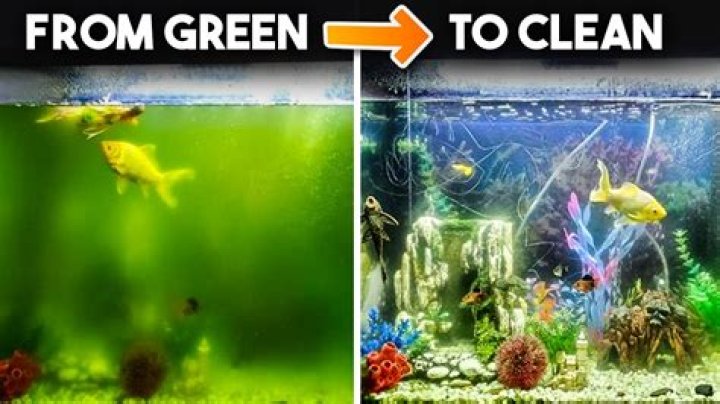 Does aluminum turn green?