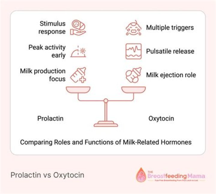 Does banana increase prolactin?