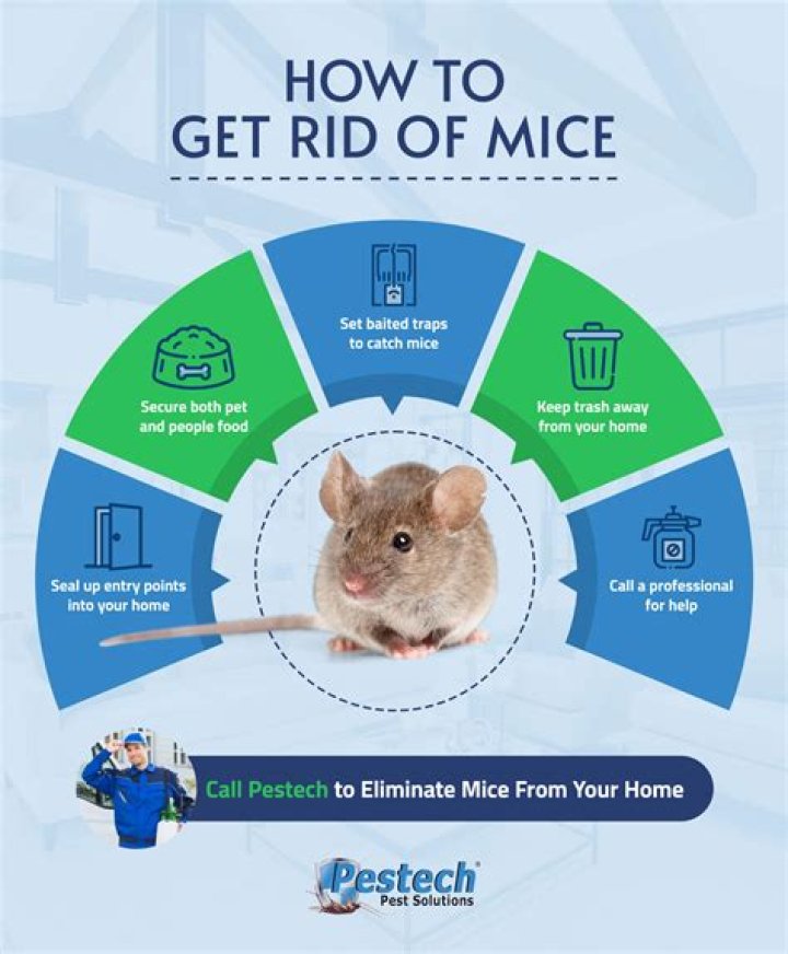 Does bleach keep mice away?
