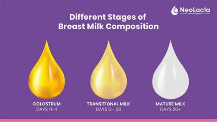 Does breastfeeding make your boobs bigger?