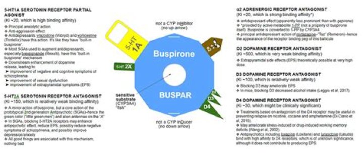 Does buspirone interact with anything?