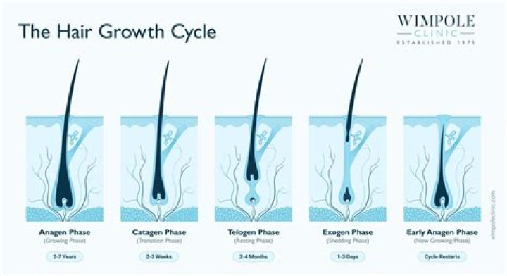 Does buzzing your hair make it thicker?
