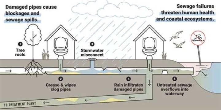 Does Chicago treat its sewage?