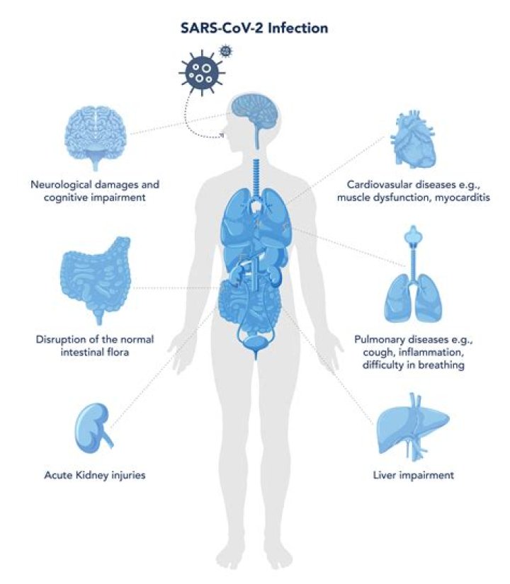 Does COVID lower immune system?