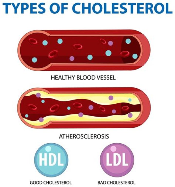 Does cucumber reduce cholesterol?