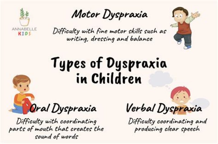 Does dyspraxia affect IQ?