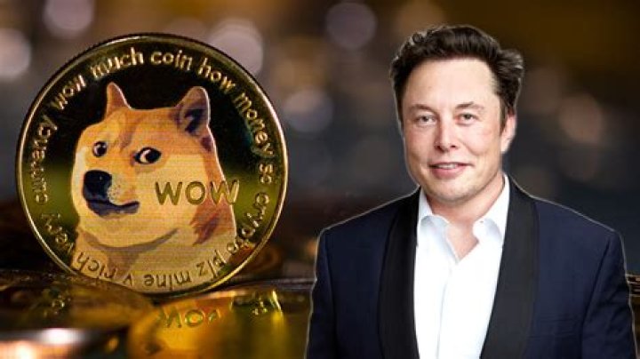 Does ELON own Dogelon Mars?