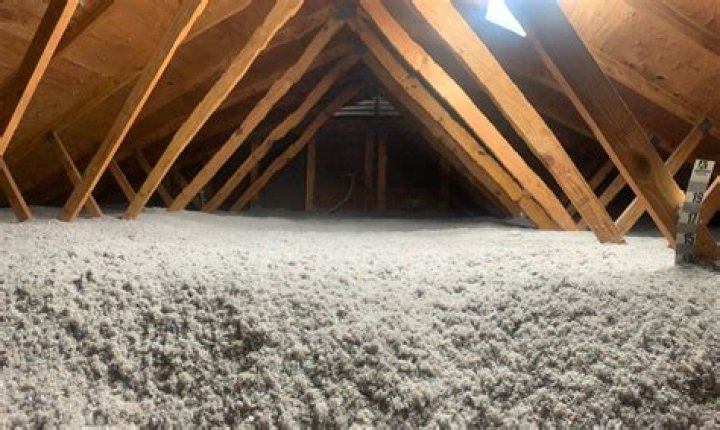 Does foam insulation attract bugs?