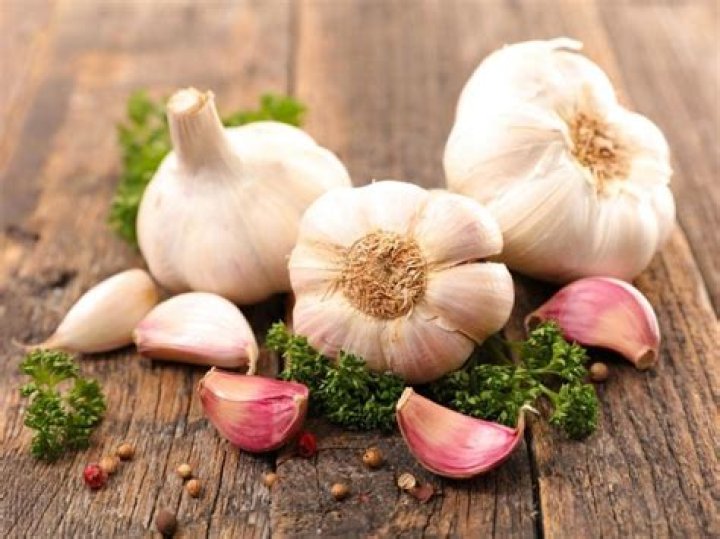 Does garlic keep slugs away?