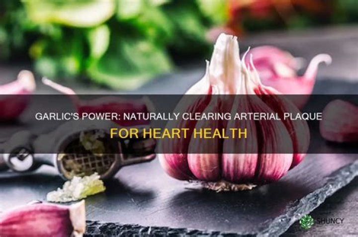 Does garlic remove plaque from arteries?