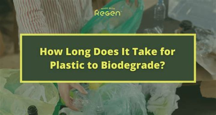 Does gasoline biodegrade?