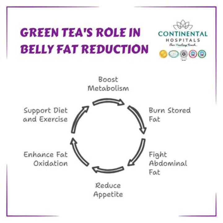 Does green tea burn belly fat?