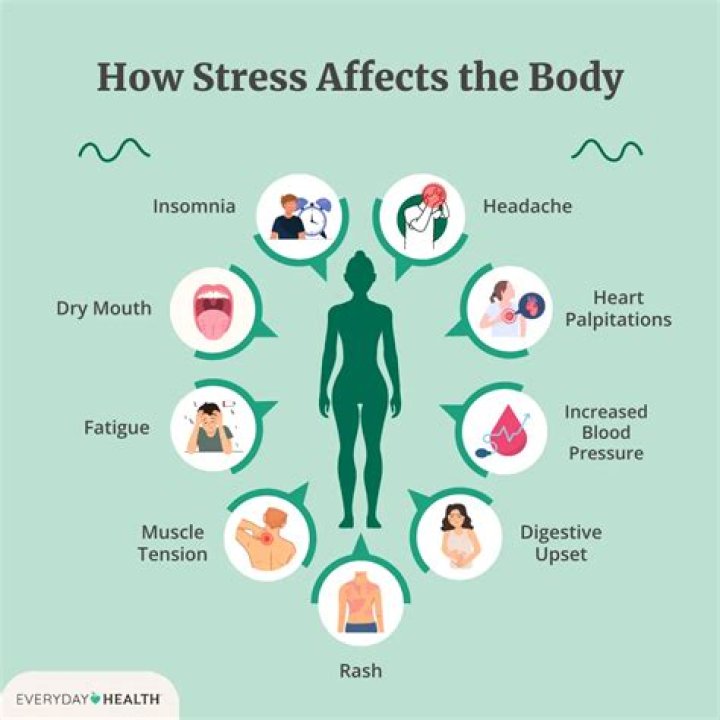 Does Lyme disease cause chronic fatigue?