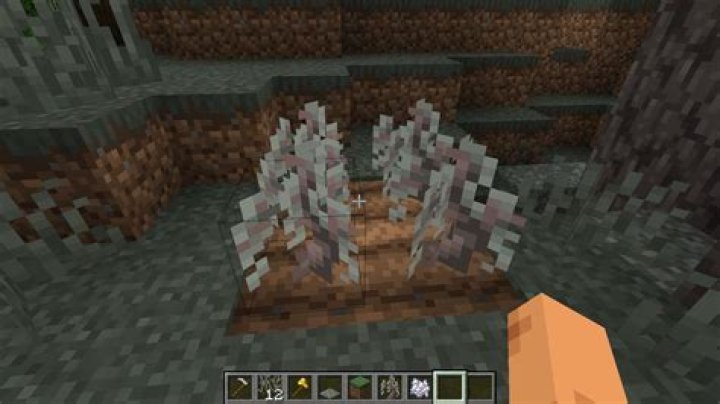 Does pale skin age faster?