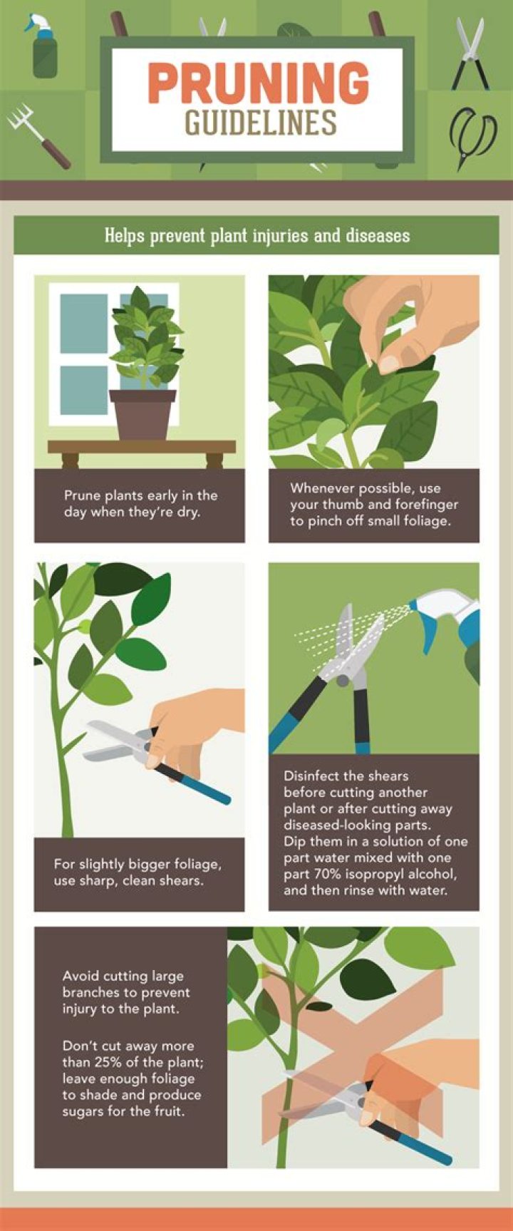 Does pruning hurt plants?