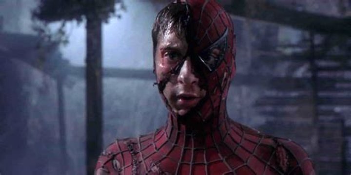 Does spider make sound?