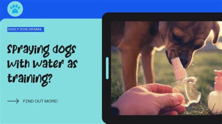 Does spraying a dog with water stop biting?