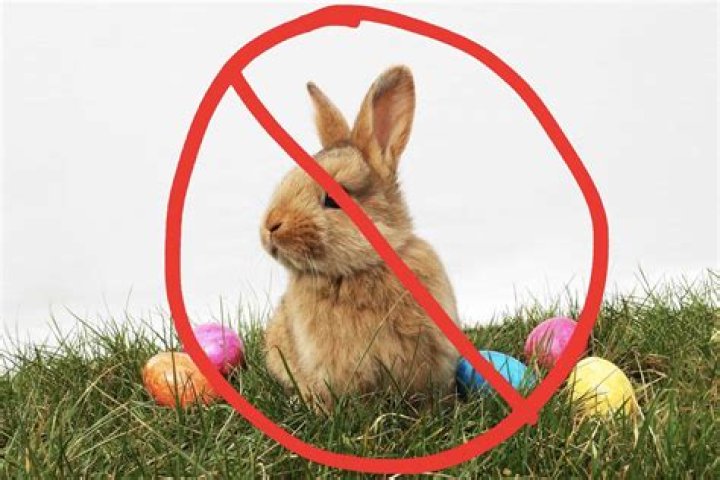 Does the Easter Bunny have babies?