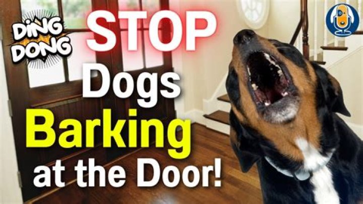 Does vinegar stop dogs from barking?