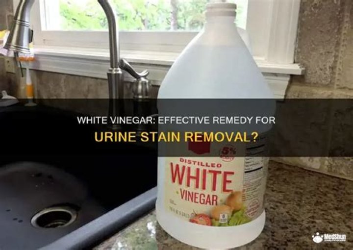 Does white vinegar remove urine smell?