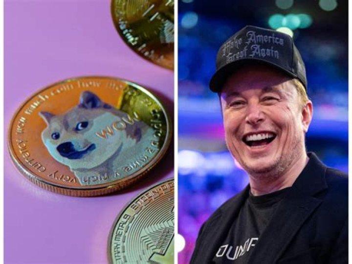 Has Dogecoin got a future?